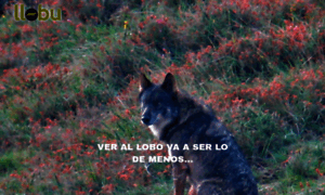 Llobu.es thumbnail