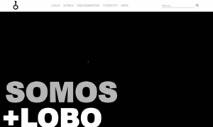 Loboagencia.com thumbnail