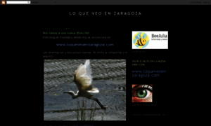 Loqueveoenzaragoza.blogspot.com.es thumbnail