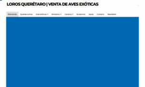 Loros.com.mx thumbnail