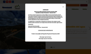 Losandes.org.pe thumbnail