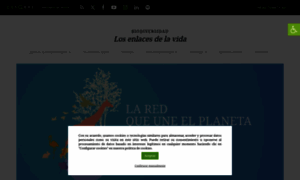 Losenlacesdelavida.fundaciondescubre.es thumbnail