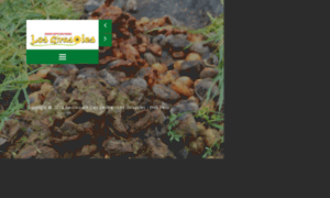 Losgirasoleshuancayo.com thumbnail