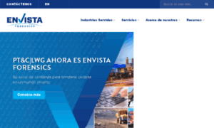 Lwgconsulting.mx thumbnail