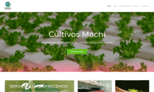 Machi.mx thumbnail