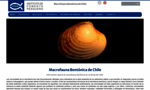 Macrofauna.cl thumbnail
