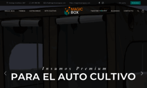 Magicboxuruguay.com thumbnail