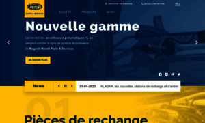 Magnetimarelli-checkstar.fr thumbnail