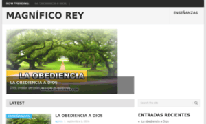 Magnificorey.com thumbnail