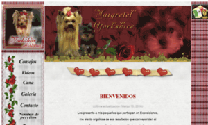 Maigretel.com thumbnail