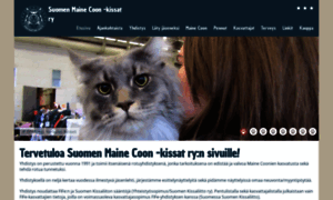 Mainecoon.fi thumbnail