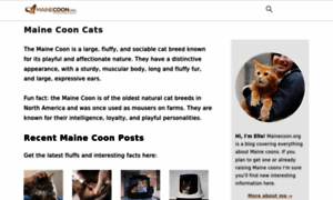 Mainecoon.org thumbnail