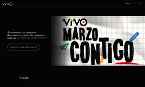 Mallsyoutletsvivo.cl thumbnail