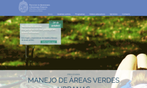 Manejoareasverdes.cl thumbnail