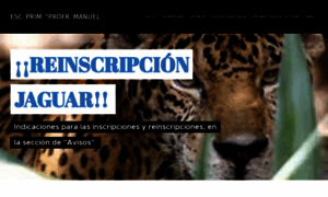 Manuel-villasenor-tv.webnode.mx thumbnail