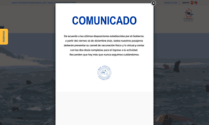 Maradentroexcursiones.com thumbnail