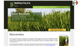 Maralfalfa.mx thumbnail