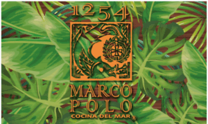 Marcopolo.com.mx thumbnail