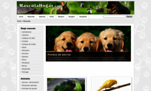 Mascotahogar.com thumbnail