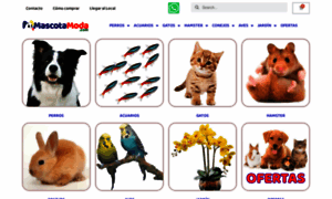 Mascotamoda.com thumbnail