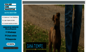 Mascotas.senasa.gob.ar thumbnail