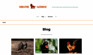 Mascotascuidados.com thumbnail
