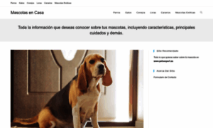 Mascotasencasa.com thumbnail