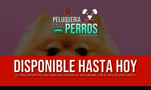 Mascotasqueridas.capacitaciondigitalrd.com thumbnail
