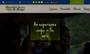 Masdebunyol.com thumbnail
