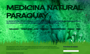 Medicinanatural-py.blogspot.com thumbnail