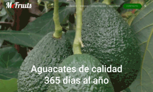 Mefruitsaxarquia.com thumbnail