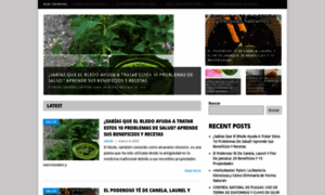 Mejorandotusalud.com thumbnail