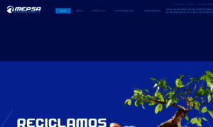 Mepsa.com thumbnail