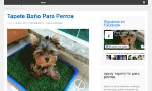 Mercadoperro.com thumbnail
