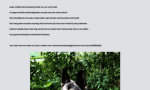 Merza.nl thumbnail