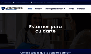 Metroseguros.com thumbnail