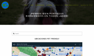 Mexicopetfriendly.com thumbnail