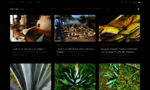 Mezcalero.net thumbnail