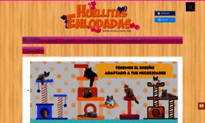 Miau.com.mx thumbnail
