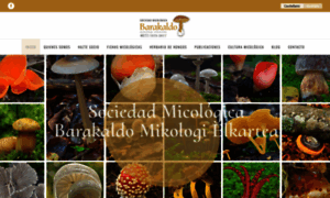 Micologica-barakaldo.org thumbnail