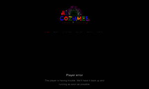 Micozumel.com thumbnail