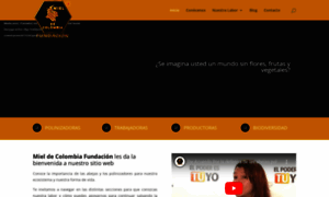 Mieldecolombiafundacion.org thumbnail