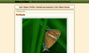 Miguelemele.blogspot.com thumbnail