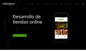 Mileniumsoluciones.com.ar thumbnail