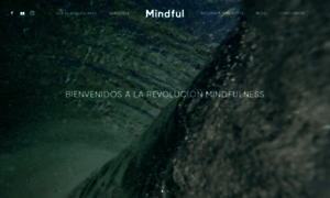 Mindfulexperience.es thumbnail