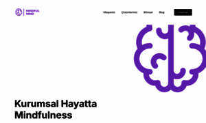 Mindfulmind.com.tr thumbnail