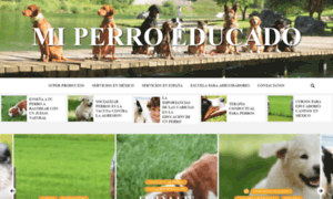 Miperroeducado.com thumbnail