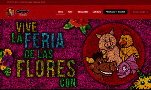 Miscarnesparrilla.com thumbnail