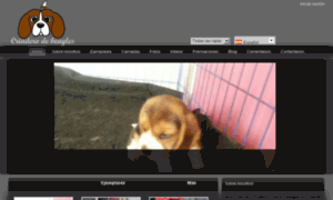 Misperrosbeagle.com.mx thumbnail