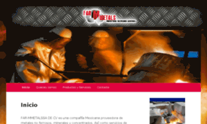 Mmetals.com.mx thumbnail